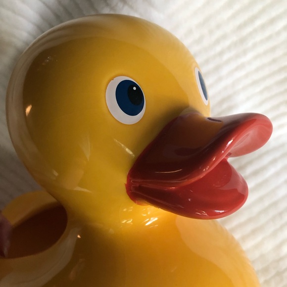 Teleflora Rubber Duck Planter Vase - Picture 2 of 16